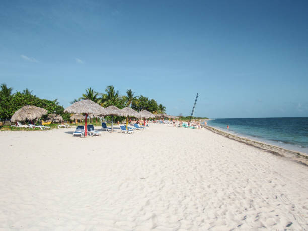 istock Palm Trees and turquoise Caribbean sea in Tulum 1152676558