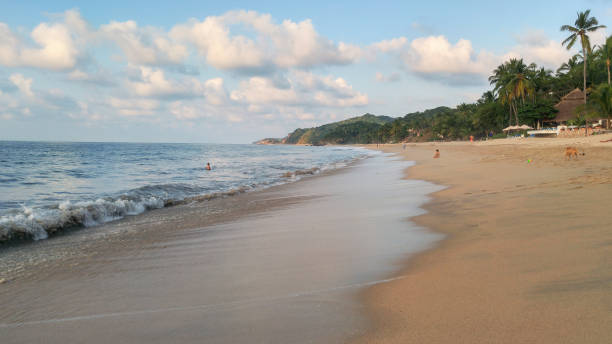Palm trees and surfers in Sayulita Beach.