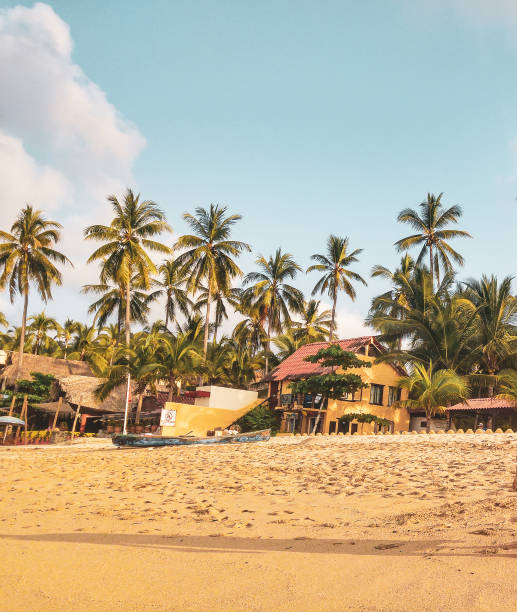 istock Palm trees and surfers in Sayulita Beach. 1152679536