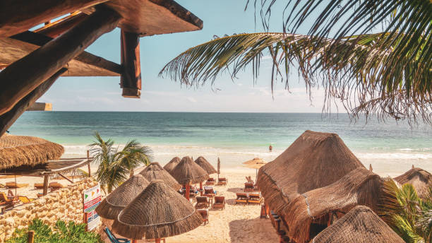 istock Palm Trees and turquoise Caribbean sea in Tulum 1152680525