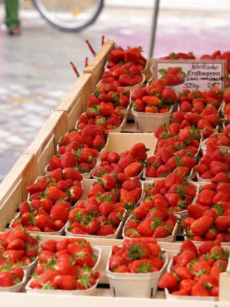 Red strawberries in boxes on a farmer's market Fresh red strawberries on a farmer's market in Germany bamberg photos stock pictures, royalty-free photos & images