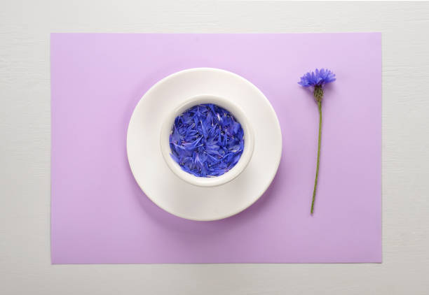 Creative layout made of blue petals of cornflower floating in water on light  lilac pastel background laying on the gray table.Flat lay, concept with copy space for lettering,text or design.