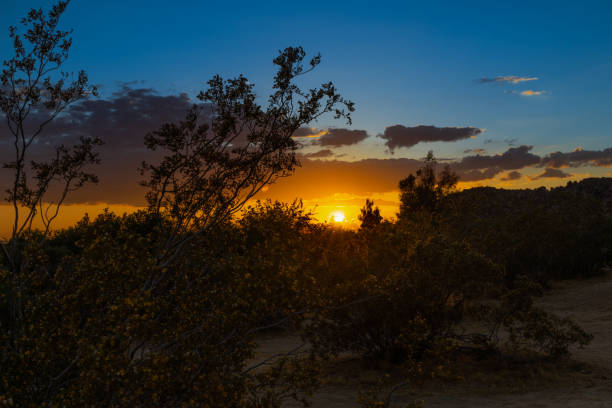 Sunet in the Mojave Deset