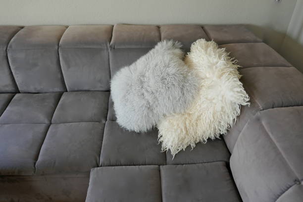 istock Two cuddly lambskin pillows on a gray velor sofa, close-up 1152693113