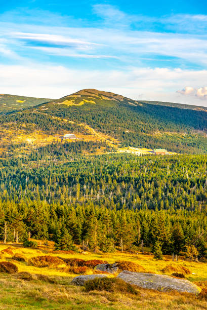 Green forest landscape with Maly Sisak Mountain and mountain huts, Giant Mountains, Krkonose, Czech Republic Green forest landscape with Maly Sisak Mountain and mountain huts, Giant Mountains, Krkonose, Czech Republic. czech republic mountains stock pictures, royalty-free photos & images