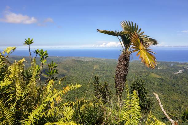 Scenic View from top of El Yunque Mountain above Baracoa Bay Cuba Atlantic Ocean Tropical Vegetation and Distant Atlantic Ocean Coastline Horizon Landscape from summit of El Yunque Mountain above Baracoa Bay Cuba el yunque rainforest stock pictures, royalty-free photos & images