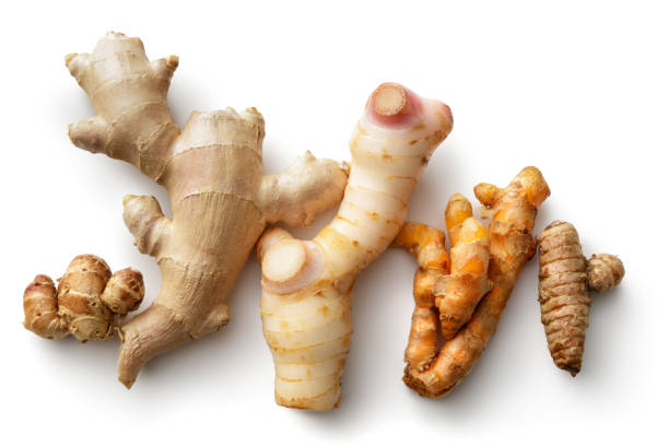 Asian Food: Ginger, Galangal, Fingerroot and Turmeric Isolated on White Background
