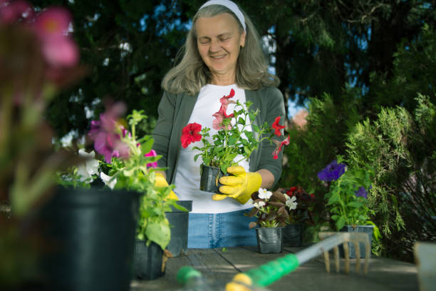 istock Smiling senior gardener 1152699863