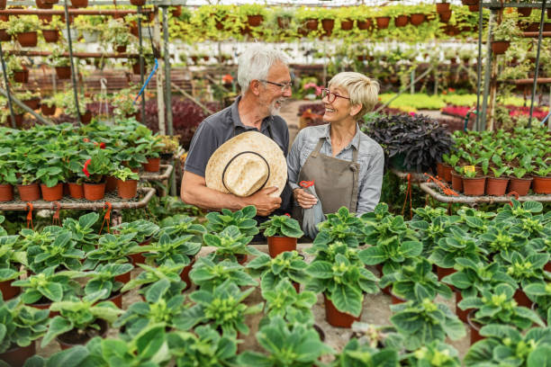 istock Happy mature greenhouse workers communicating while nourishing their plants. 1152699975