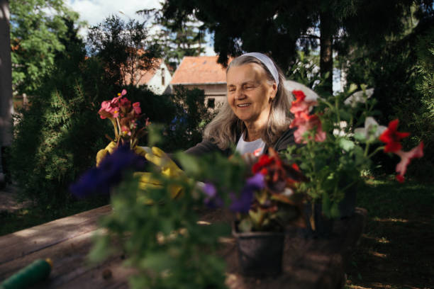istock Smiling senior gardener working with flowers 1152701065