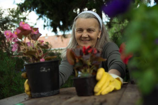 istock Smiling senior gardener working with flowers 1152701096