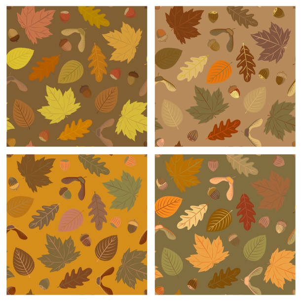 jesienny wzór - chestnut chestnut tree backgrounds seamless stock illustrations