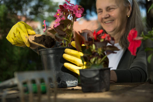 istock Happy woman gardening and smiling 1152702321