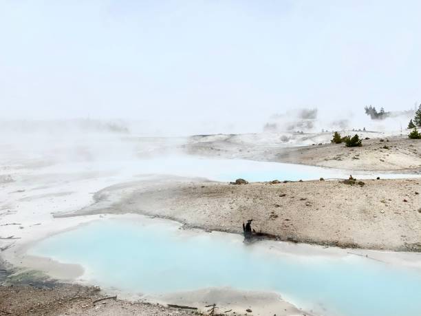 istock Yellowstone National Park 1152704553