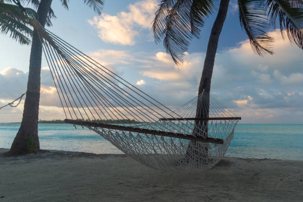 istock Rope hammock under the palm trees, side view, Aitutaki, Cook Islands 1152704992