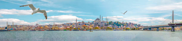 schauen sie sich touristische sehenswürdigkeiten von der seereise auf dem bosporus an. stadtbild istanbul bei sonnenuntergang-alte moschee und türkische dampfschiffe, blick auf das goldene horn - kadikoy district stock-fotos und bilder