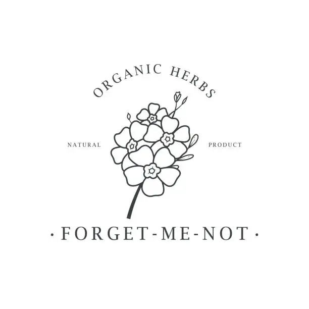 Vector illustration of Forget me not flower. Logo for spa and beauty salon, boutique, organic shop, wedding, floral designer, interior, photography, cosmetic. Botanical floral element.