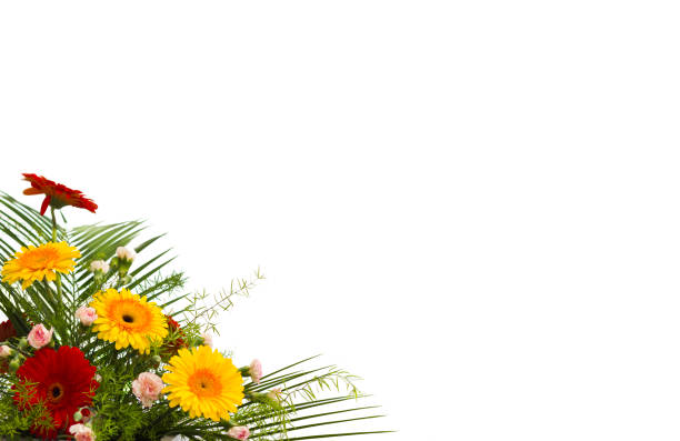 Bright flower bouquet isolated over white background