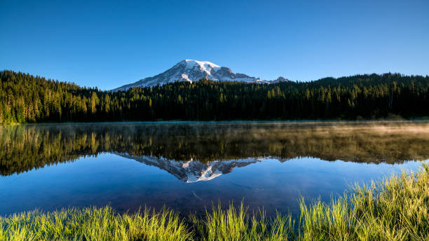 istock Beautiful wildflowers and Mount Rainier, Washington state 1152723938