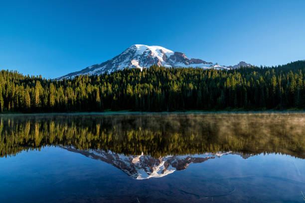 istock Beautiful wildflowers and Mount Rainier, Washington state 1152723947