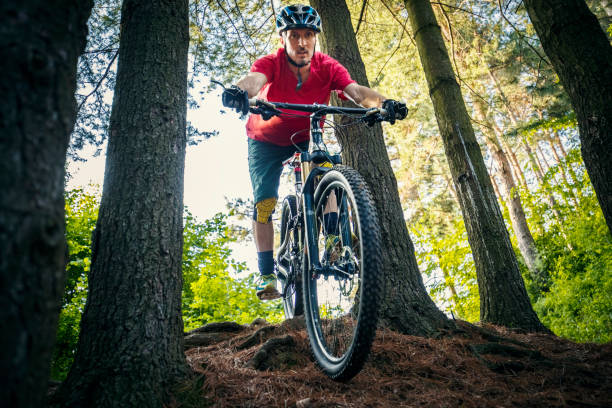 istock Mountain biker riding on bike on forest dirt trail 1152723969