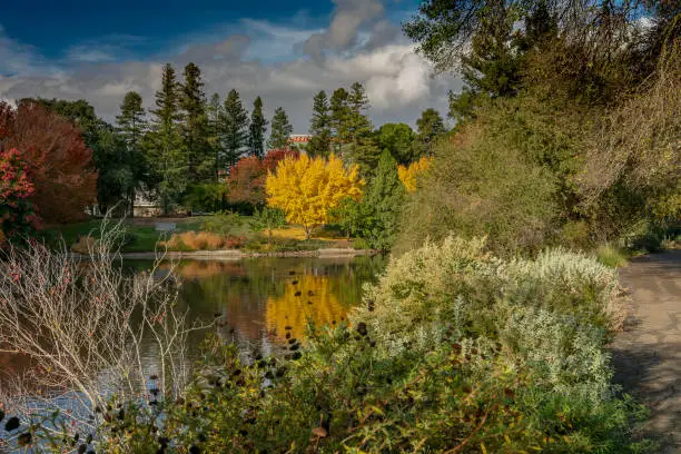 Photo of Fall colors at UC Davis California