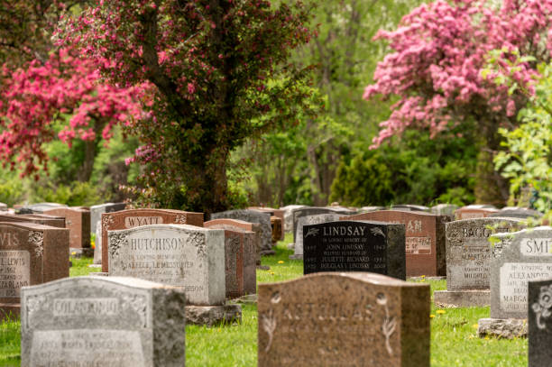 View of the tombstones, trees and curved road on the Oakland Cemetery in sunny autumn day, Atlanta, USA