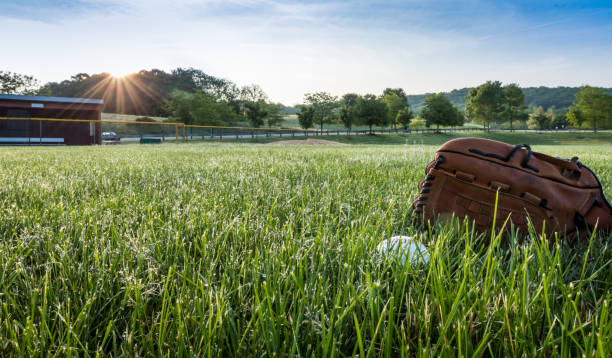 Baseball and glove in morning dew green grass Baseball and glove in morning dew green grass.  Prepare for day, sports, love of sport. outfield stock pictures, royalty-free photos & images