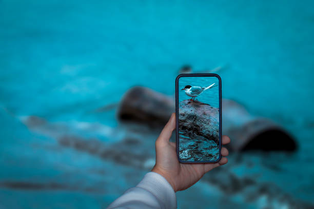 istock Phone Photography 1152733733