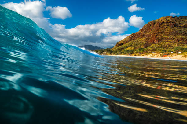 istock Barreling Hawaiian wave 1152751312