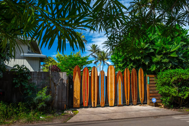 colorful wood