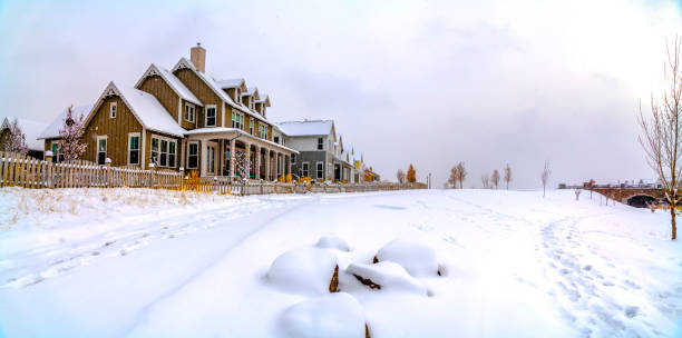 istock Powdery white snow coating the ground under a cloudy sky in winter 1152757219