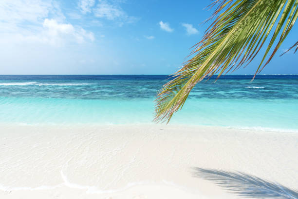 istock Tropical Paradise Summer Scene 1152757352