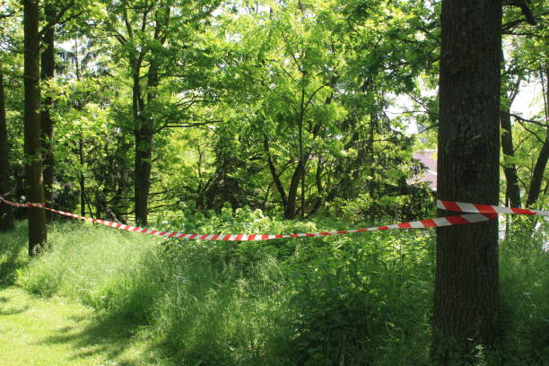 istock Banding tape in a forest  Banning the public 1152763512