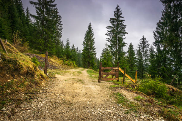 Mountain road on Austrian alps