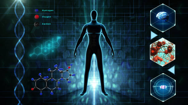 istock Human body medical Scan 1152766775