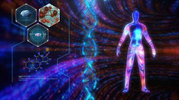 istock Human body medical Scan 1152766779