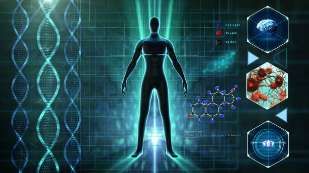 istock Human body medical Scan 1152766781