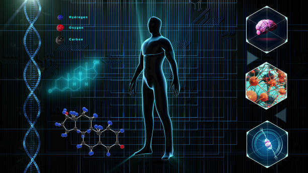 istock Human body medical Scan 1152766795