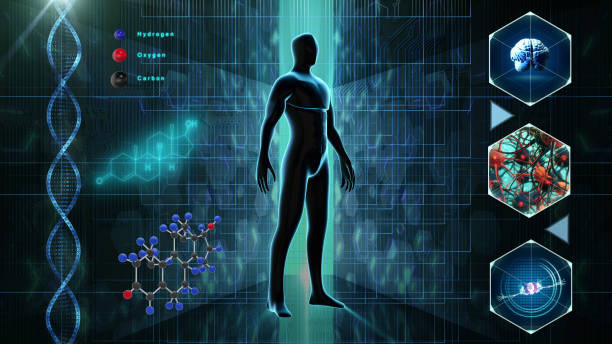 Human body medical Scan