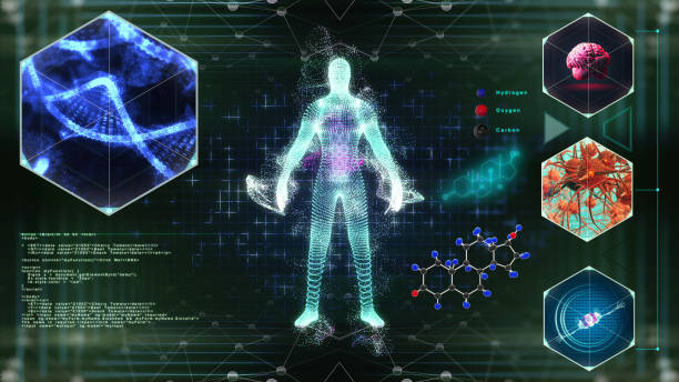 istock Human body medical Scan 1152766804