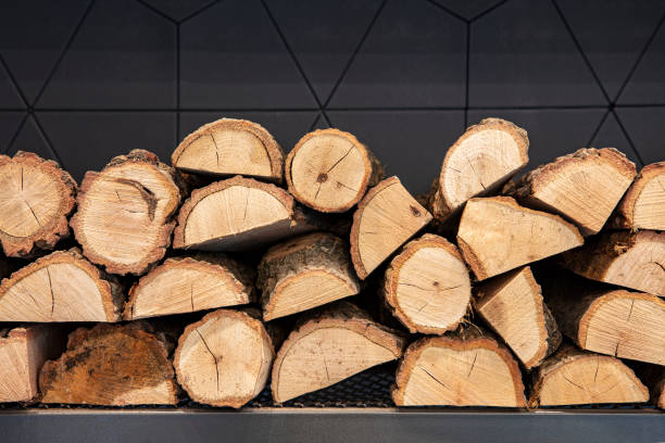 istock Firewood near fireplace 1152769365