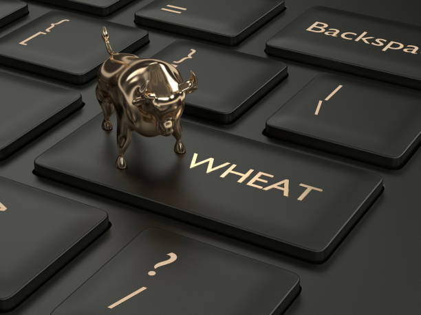 istock 3d render of keyboard with wheat key and bull 1152771396