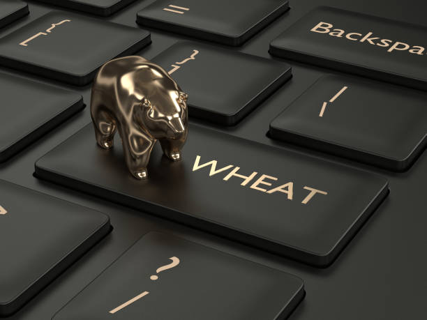 istock 3d render of keyboard with wheat key and bear 1152771405