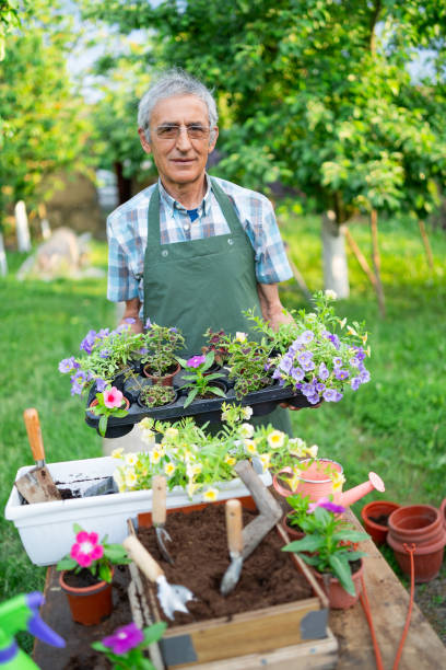 istock Senior farmer standing in flower garden 1152772730