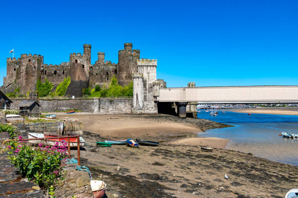 Conwy, Wales Conwy
Wales
Conwy Castle, on the estuary of the river Conwy at Low tide
May 12, 2019 conwy castle stock pictures, royalty-free photos & images