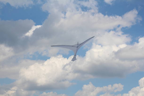 istock A kite in the form of a single large white bird. 1152774496