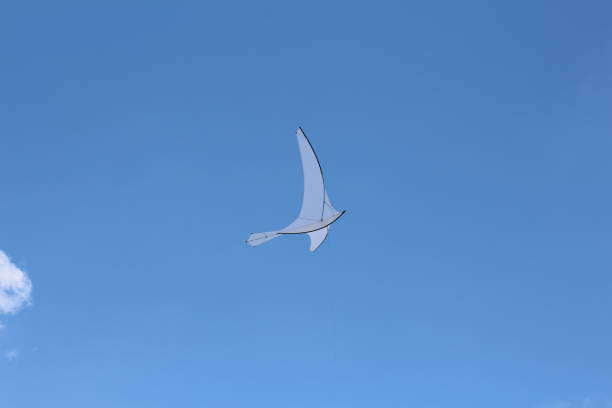 istock A kite in the form of a single large white bird. 1152774526