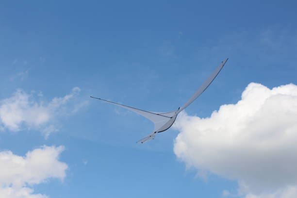 istock A kite in the form of a single large white bird. 1152774574