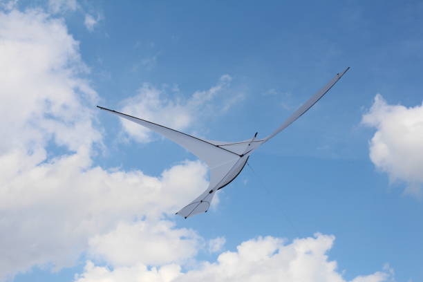 istock A kite in the form of a single large white bird. 1152774610